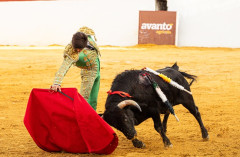 Martim triunfa no seu debute